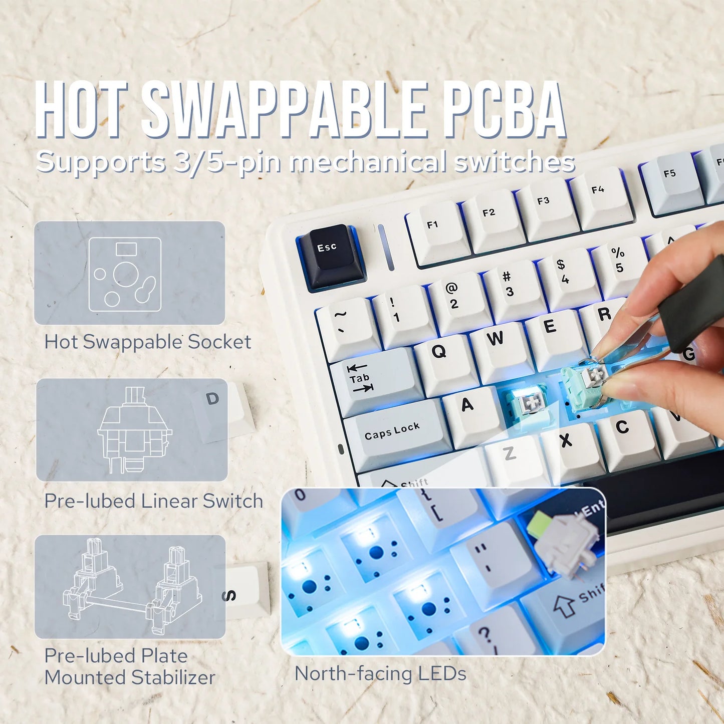 EPOMAKER x AULA F75 – Teclado Mecánico 75% Inalámbrico Hot-Swap (Bluetooth / 2.4G / USB-C)